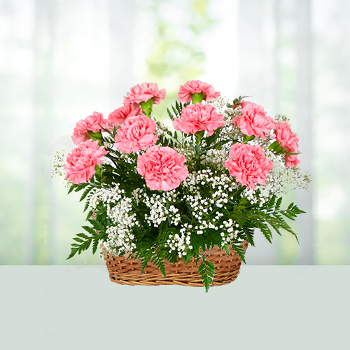 10 Carnations Flowers Basket 