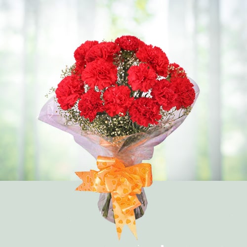 12 Red Carnations Bouquet