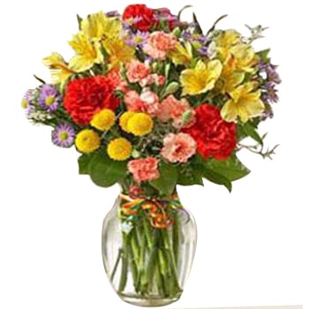 US-12-MIX-Flowers-Fillers 