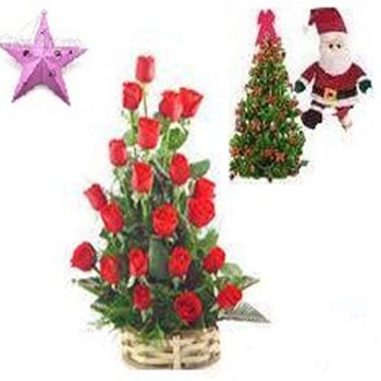 21 red roses basket with free christmas tree,santa and star 