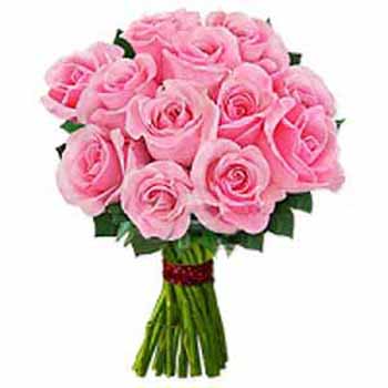 One Dozen Pink Roses 