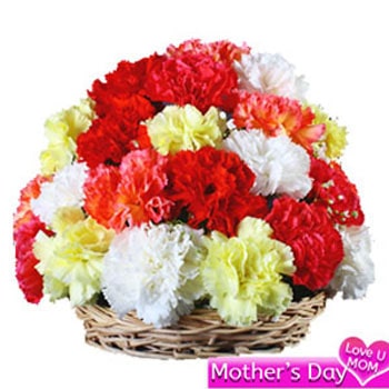 Carnation basket arrangement 