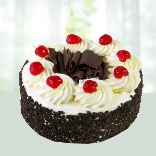 Black Forest 5 Star Cake 