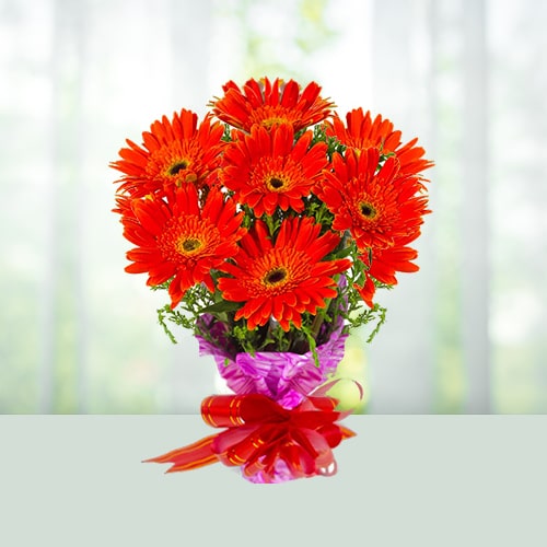 Flowers Bouquet-Red Gerberas 