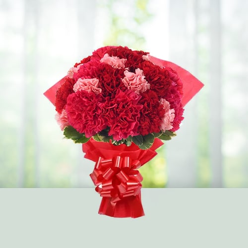 Flowers Bouquet of Red and Pink Carnations 