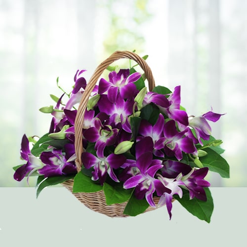 Basket of Orchids