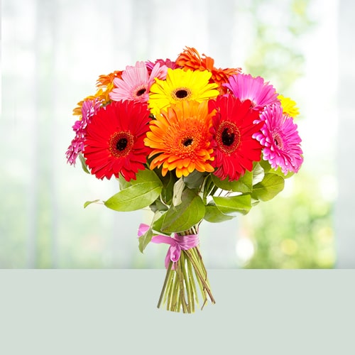 Mix Gerberas 