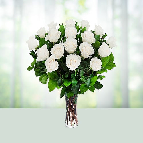 18 White Roses