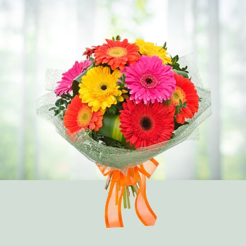 12 Mixed Gerbera Flower Bouquet