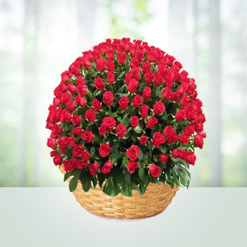 500 Red Roses Flower Basket