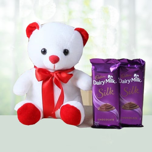 Blissful combo of Teddy N Dairy Milk Silk