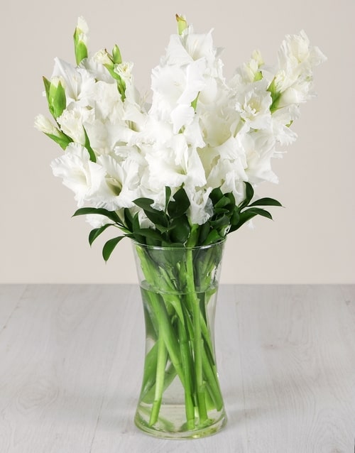 White Gladiolus in a Glass Vase 