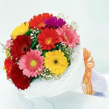 Happiness -12 Gerberas Bouquet